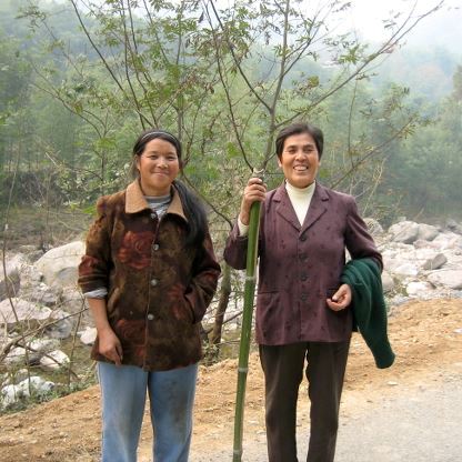 Miljørigtig overfladebehandling af bambusgulv